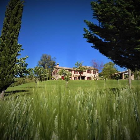Bed and Breakfast Quelli del Picchio Cupramontana Esterno foto