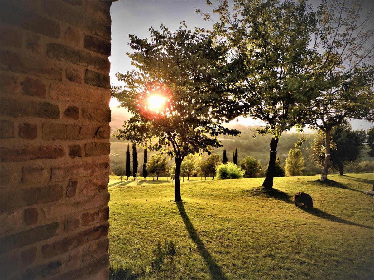 Bed and Breakfast Quelli del Picchio Cupramontana Esterno foto