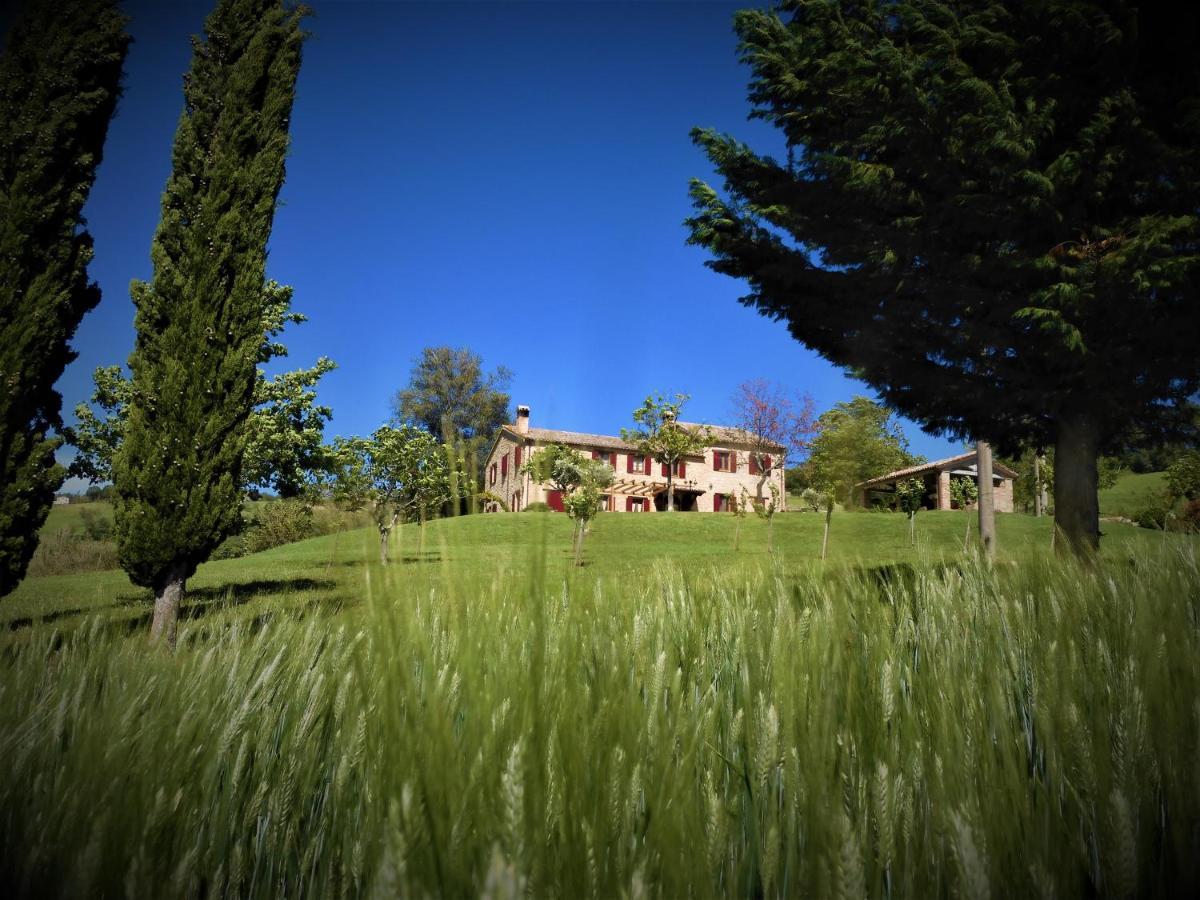 Bed and Breakfast Quelli del Picchio Cupramontana Esterno foto