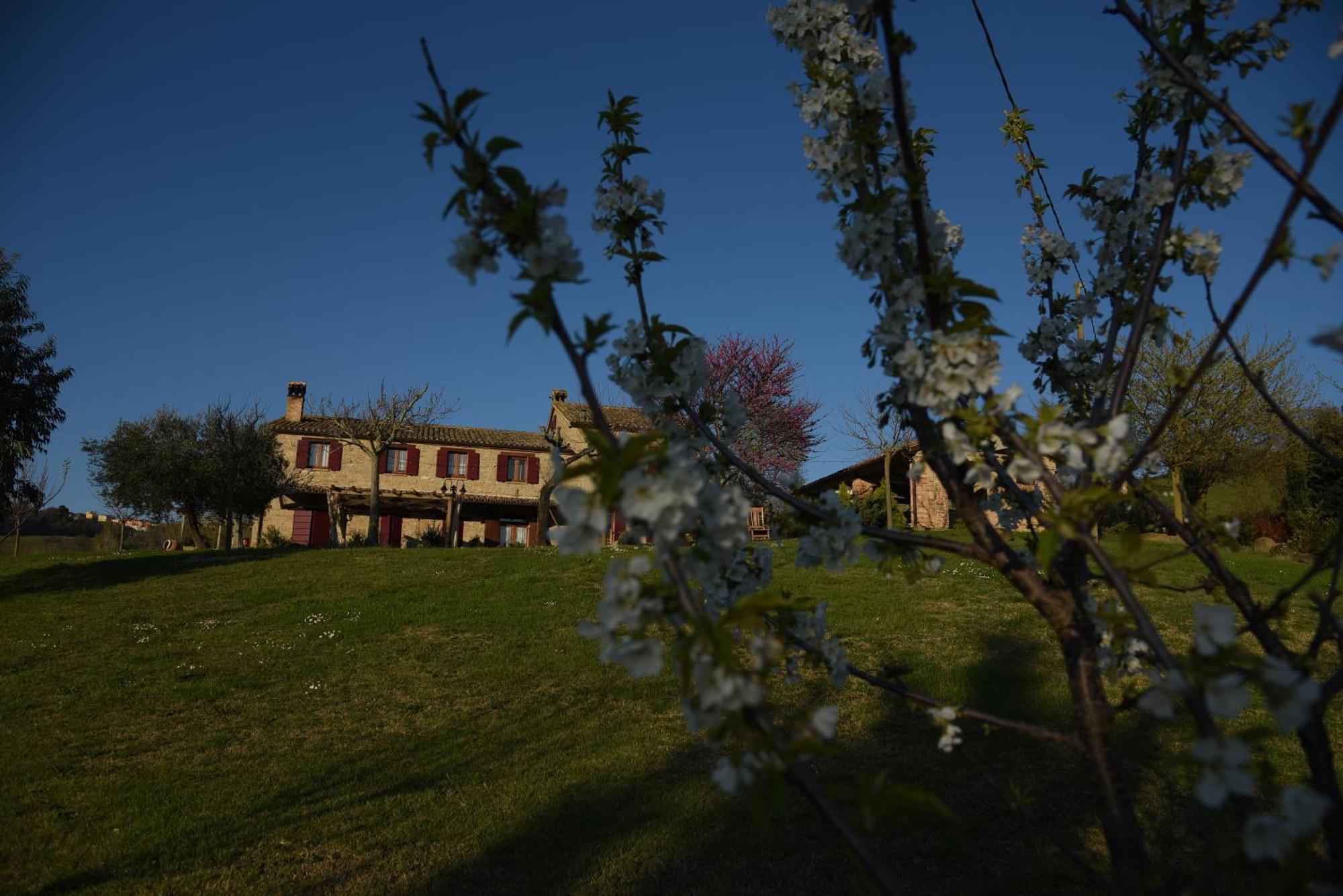 Bed and Breakfast Quelli del Picchio Cupramontana Esterno foto